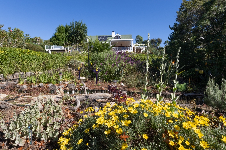 4 Bedroom Property for Sale in Belvidere Estate Western Cape